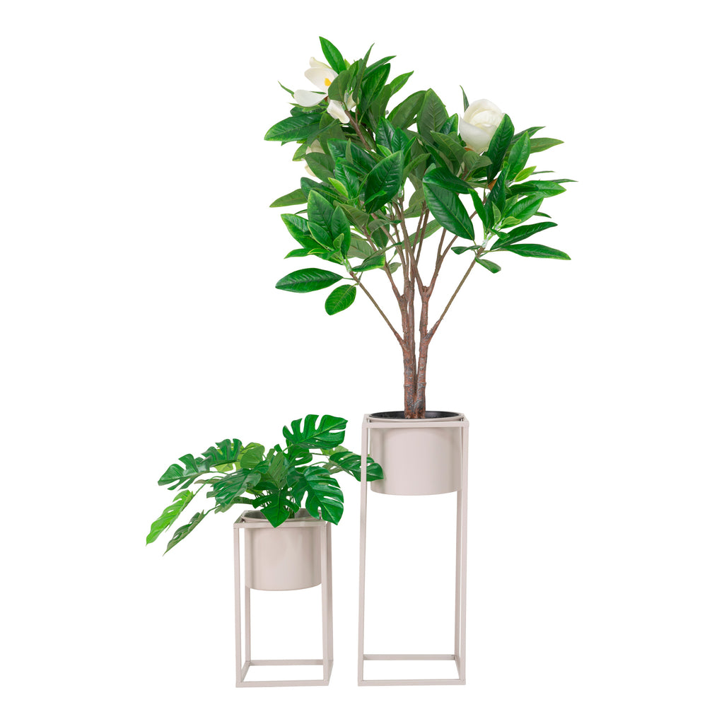 2 flowerpots