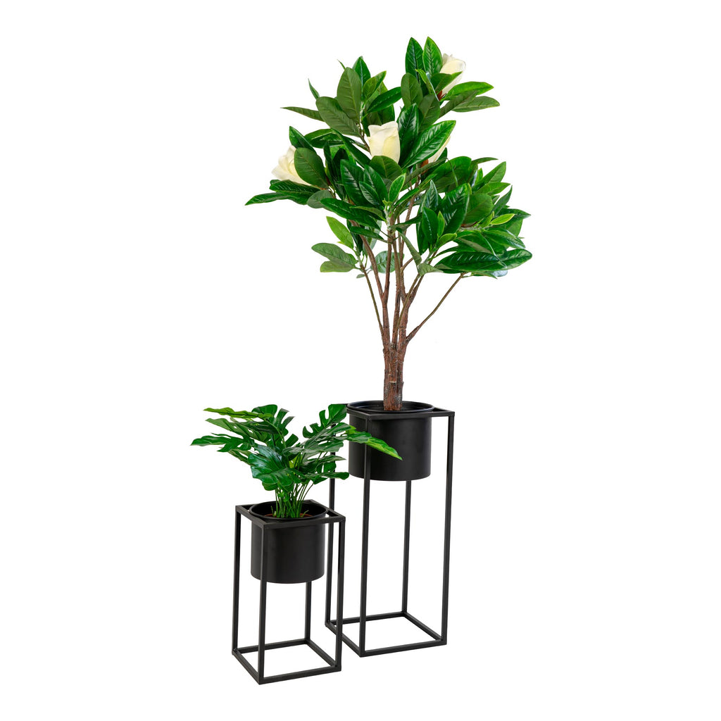 2 flowerpots