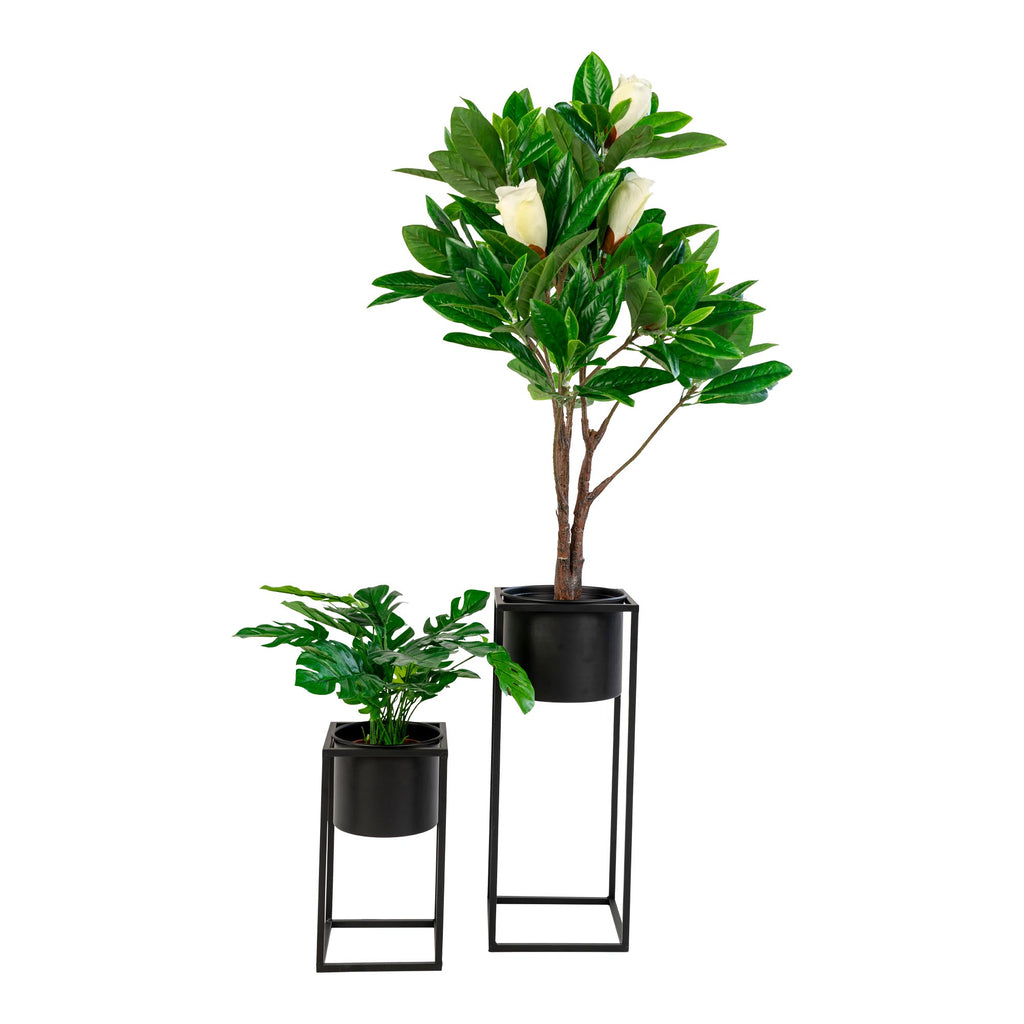 2 flowerpots